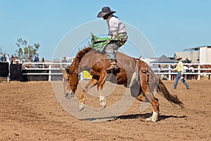 Bareback Bucking Bronc Riding At Country Rodeo