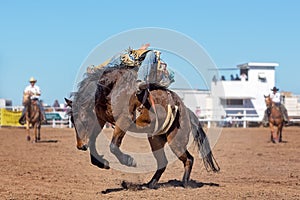 Bareback Bucking Bronc Riding At Country Rodeo