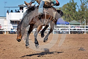 Bareback Bucking Bronc Riding At Country Rodeo