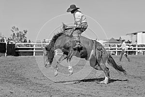 Bareback Bucking Bronc Riding At Country Rodeo