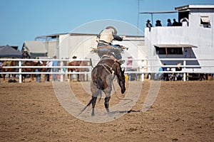 Bareback Bucking Bronc Riding At Country Rodeo