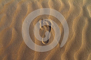 Barefeet footprints on the sand dune