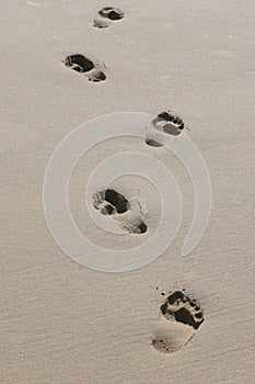 Barefeet footprints in wet sand photo