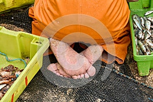 Barefoot fishermen in a net sorting fish