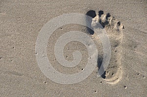 Barefoot footstep on the beach
