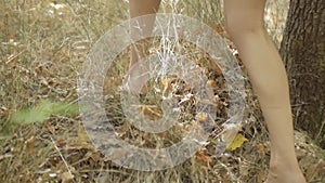 The barefoot girl walks through the forest. Close-up of feet walking on grass in slow motion