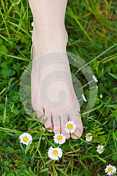 Barefoot on the grass