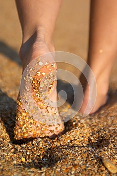 Barefoot legs on the sand beach