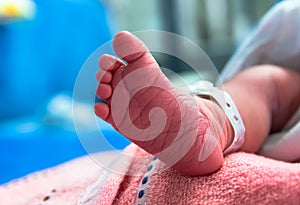 Barefoot of newborn baby in postpartum care unit in hospital when she sleeping with her mother, so cute.