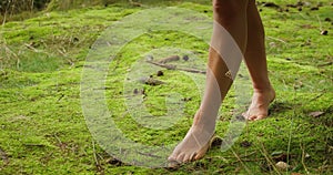 Barefoot person walking on lush green moss, connection with the earth felt. Virgin untouched coniferous forest on the