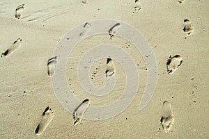 Footprints in wet sand backwards forwards photo