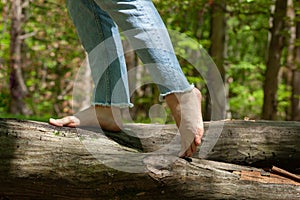 Barefoot woman in light blue jeans balancing on a fallen tree