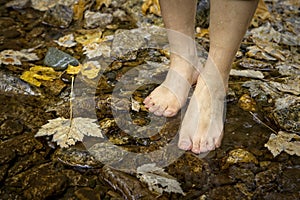 Barefooted in a stream with fallen leaves