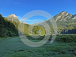 Barensoolspitz Baerensoolspitz and Brunnelistock Bruennelistock Mountains above the Oberseetal valley and alpine Lake Obersee