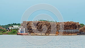 Barge full of timber as raw material for wood chip industr
