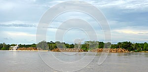 Barges hauling logs on river