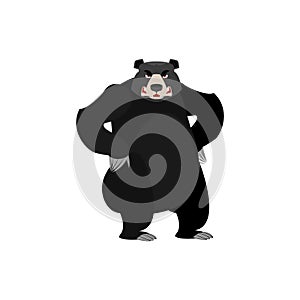 Baribal angry Emoji. American Black Bear evil emotion isolated