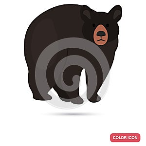 Baribal black bear color flat icon