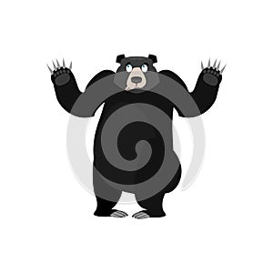 Baribal Surprised Emoji. American Black Bear astonished emotion