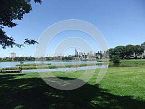 Barigui Park with blue sky, buildings in the background, trees and plants, lake photo