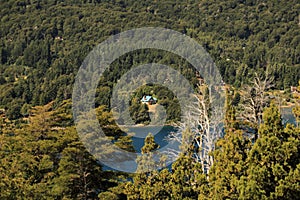 Bariloche, Forest Argentina Lago Nahuel Huapi.