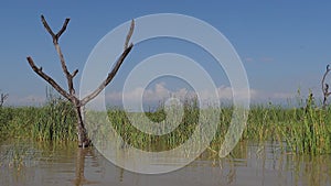 Baringo Lake Landscape, Kenya,