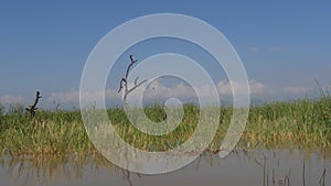 Baringo Lake Landscape, Kenya,