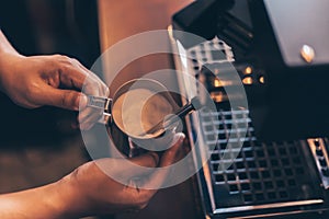 Barista heats milk steam for making lattes at coffee shop