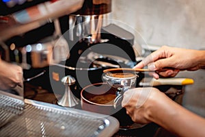 Barista preparing coffee beans grinded