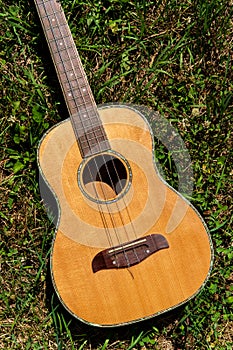 Baritone Ukulele Guitar Grass