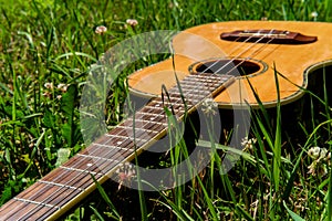 Baritone Ukulele Guitar Grass