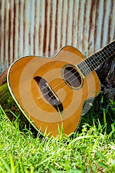Baritone Ukulele Guitar Grass
