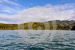 Bark Bay in Abel Tasman National Park, New Zealand