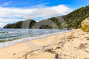 Bark Bay in Abel Tasman National Park, New Zealand