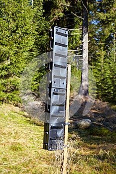 Bark beetle pheromone trap in a mountain forest