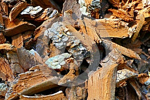 Bark Chippings