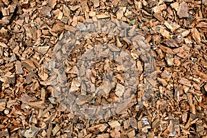 Bark Chippings