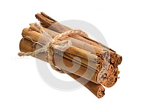 Bark from Cinnamomum verum or true cinnamon or Ceylon cinnamon. Isolated on white background