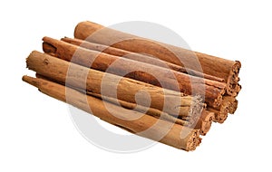 Bark from Cinnamomum verum or true cinnamon or Ceylon cinnamon. Isolated on white background photo