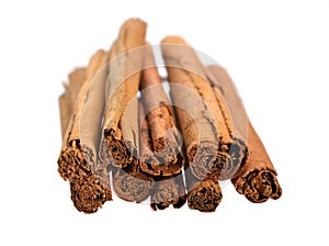 Bark from Cinnamomum verum or true cinnamon or Ceylon cinnamon. Isolated on white background photo