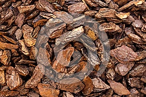 Bark crushed wood brown natural background wooden crisps decor mulch background rustic eco fertilizer