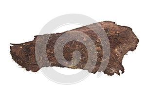 Bark isolated on white background