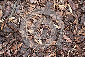 Bark mulch for garden beds