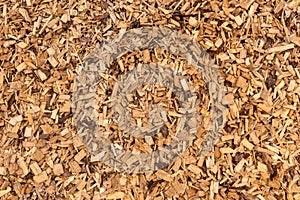 Bark mulch, wood chips. Background, Texture