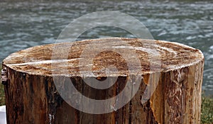 Podium tree cut behind the river