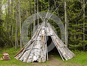 Bark Tepee In The Woods