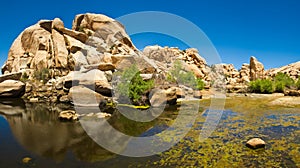 Barker dam, Joshua Tree National Park