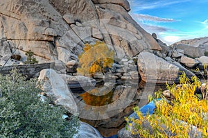 Barker Dam - Joshua Tree National Park