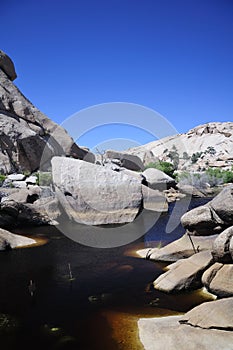 Barker Dam Joshua Tree national park