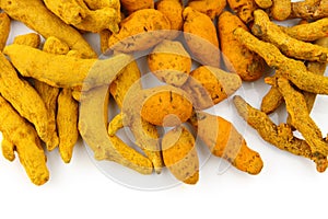 Barks of turmeric photo